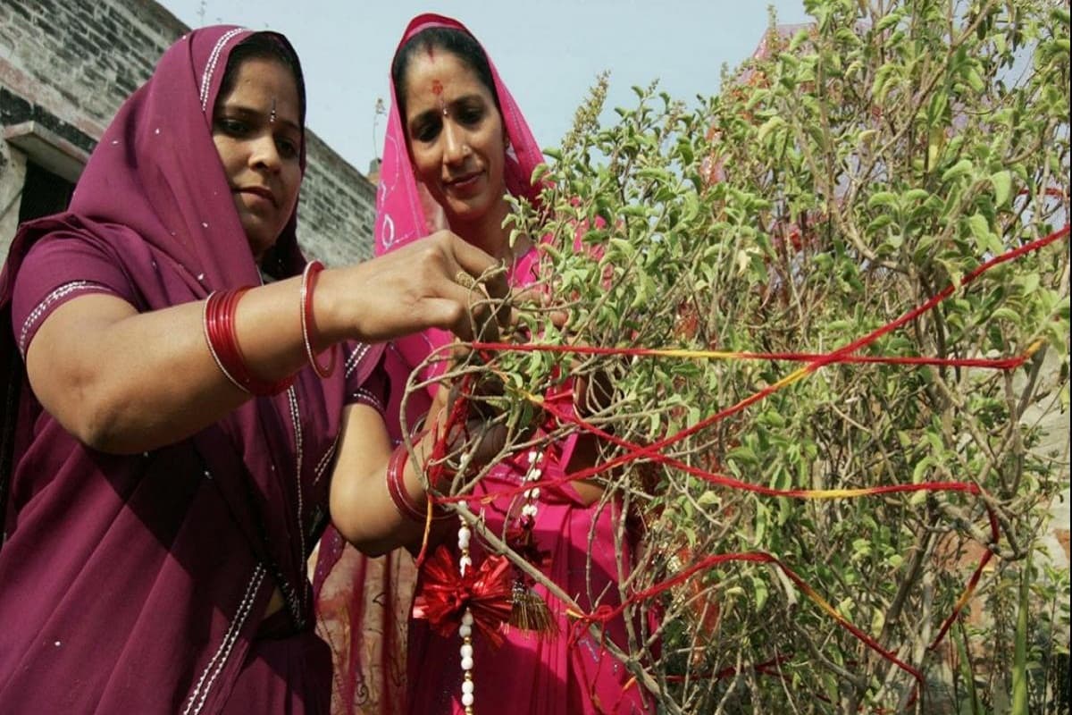 Tulsi Vivah 2024