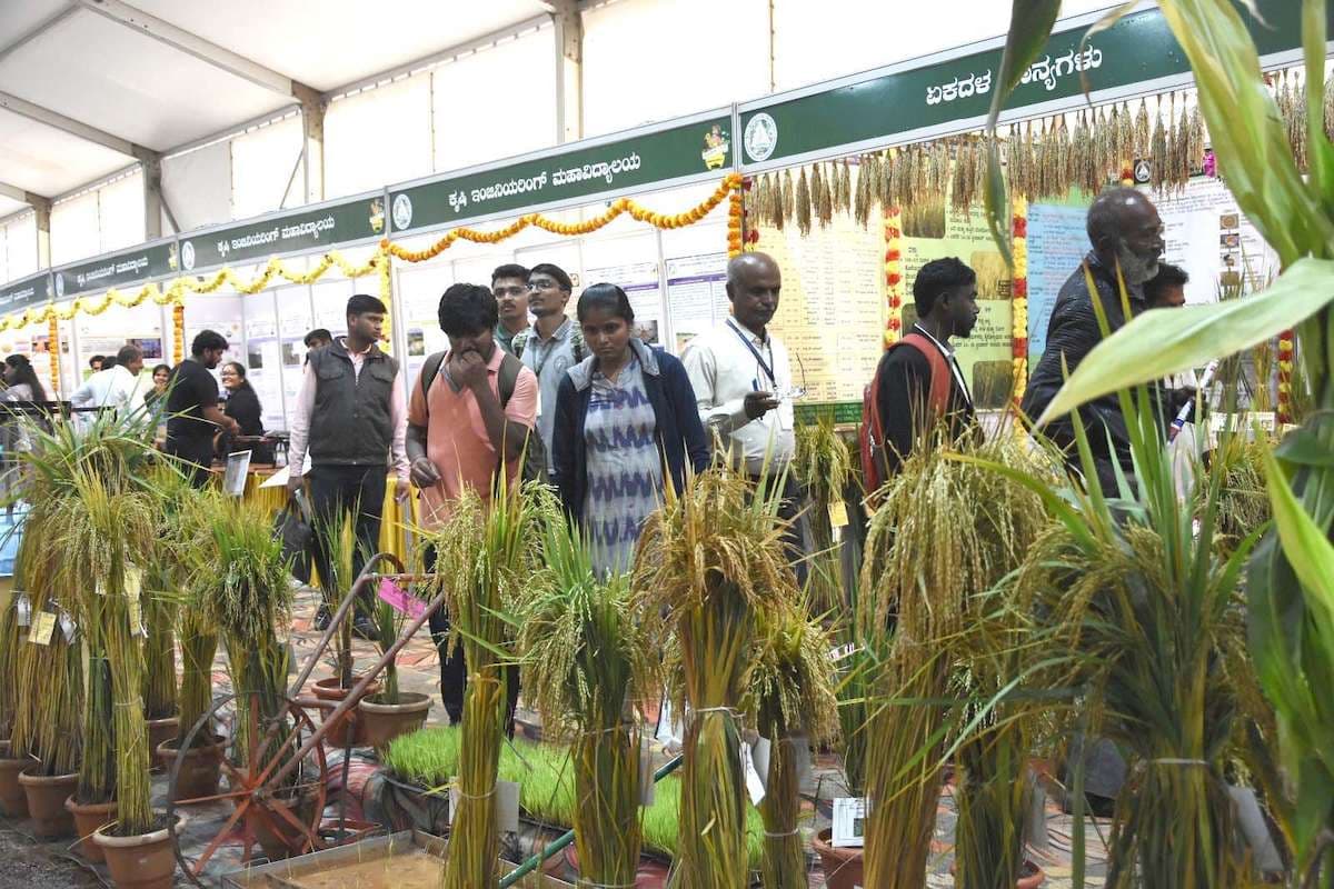 Krishi Mela 2024 at GKVK Campus, in Bengaluru