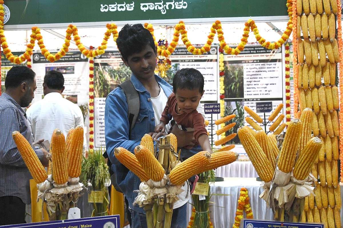 Krishi Mela 2024 at GKVK Campus, in Bengaluru