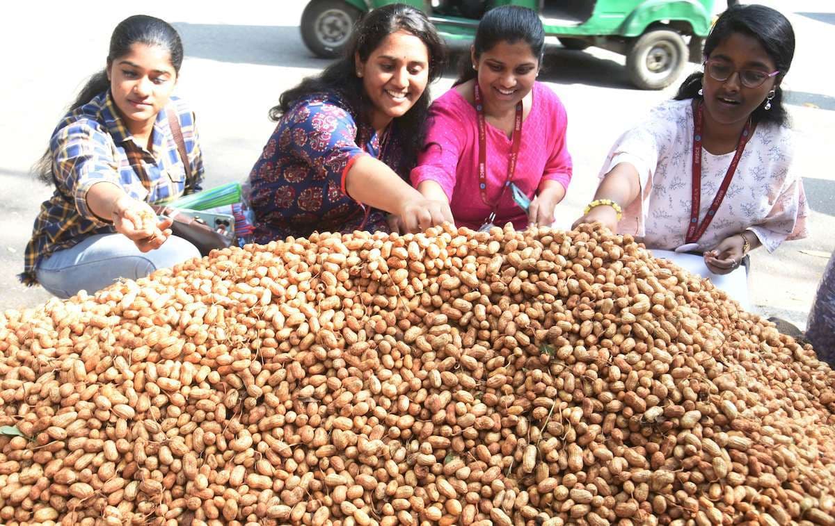 Moongfali Mela