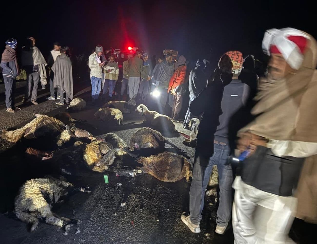 34 sheep and 2 goats died on the spot after being crushed by a truck.