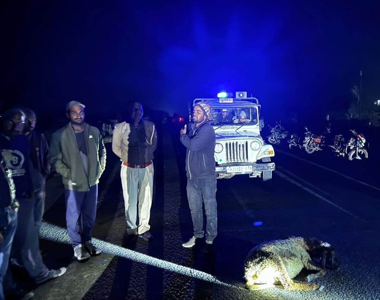 34 sheep and 2 goats died on the spot after being crushed by a truck.