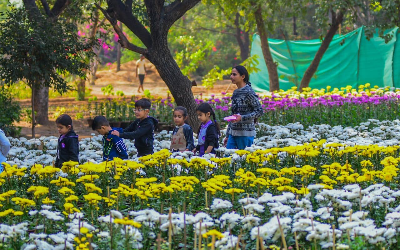  Rajasthan University jaipur