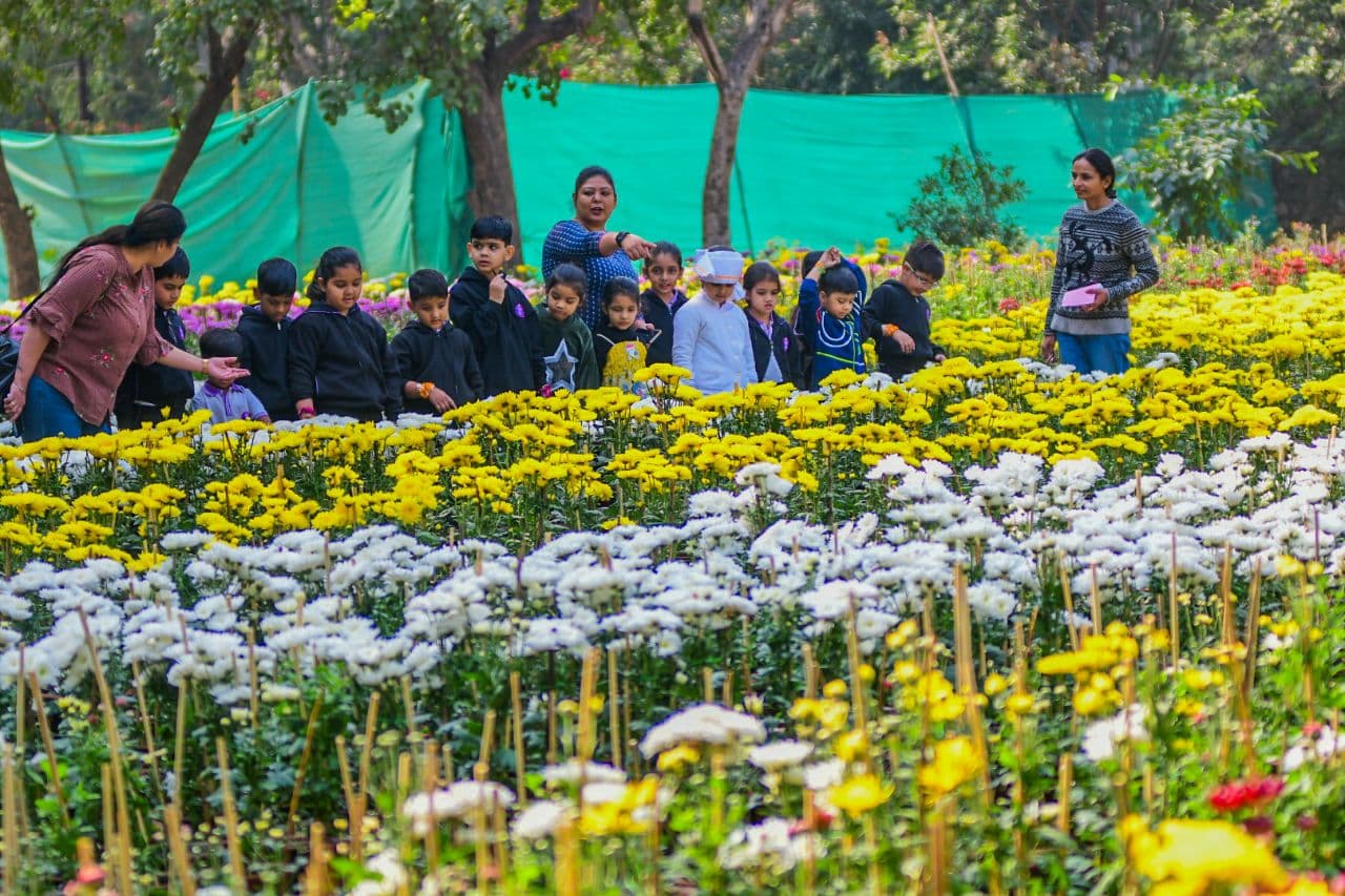  Rajasthan University jaipur