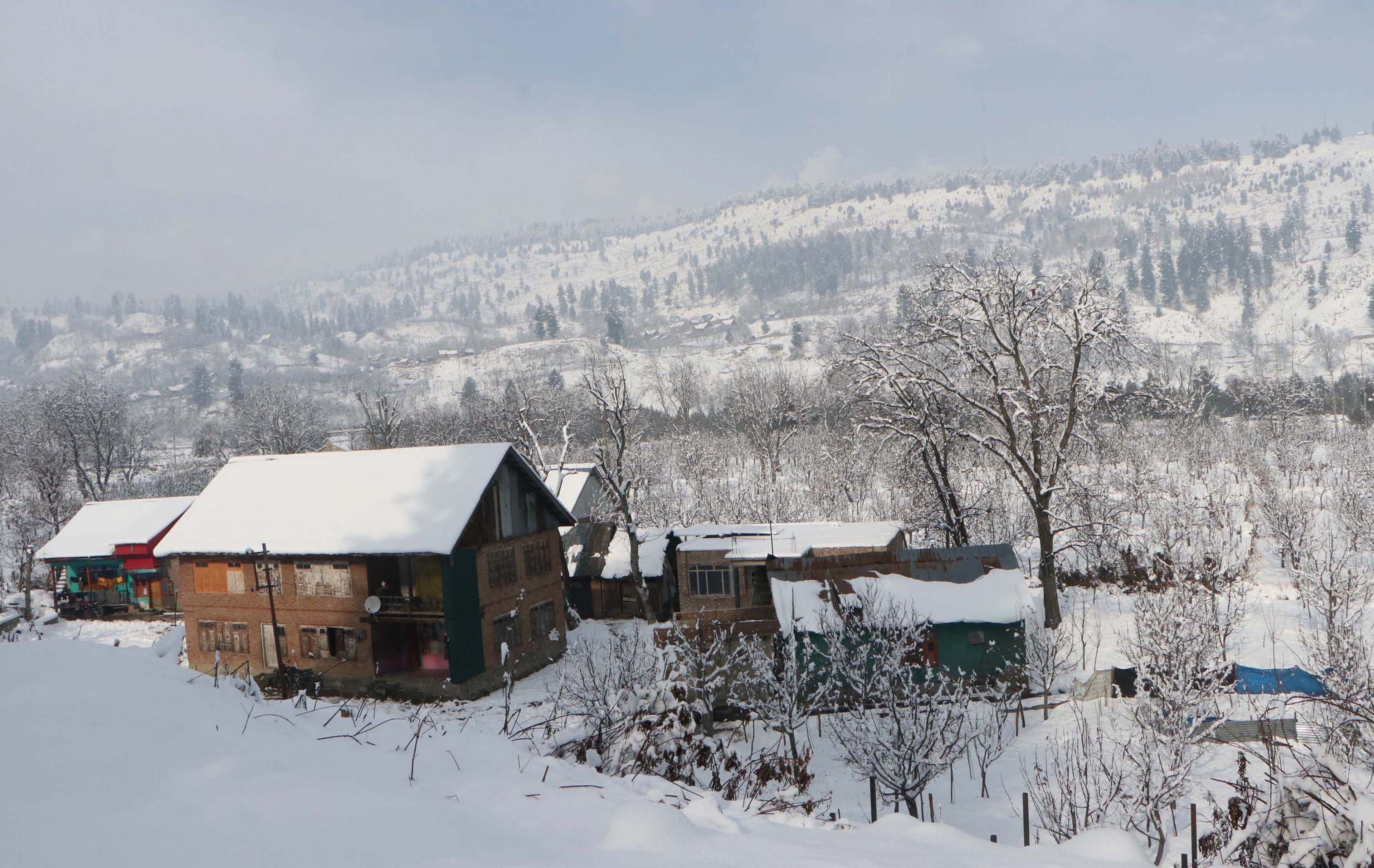 jammu kashmir snowfall 