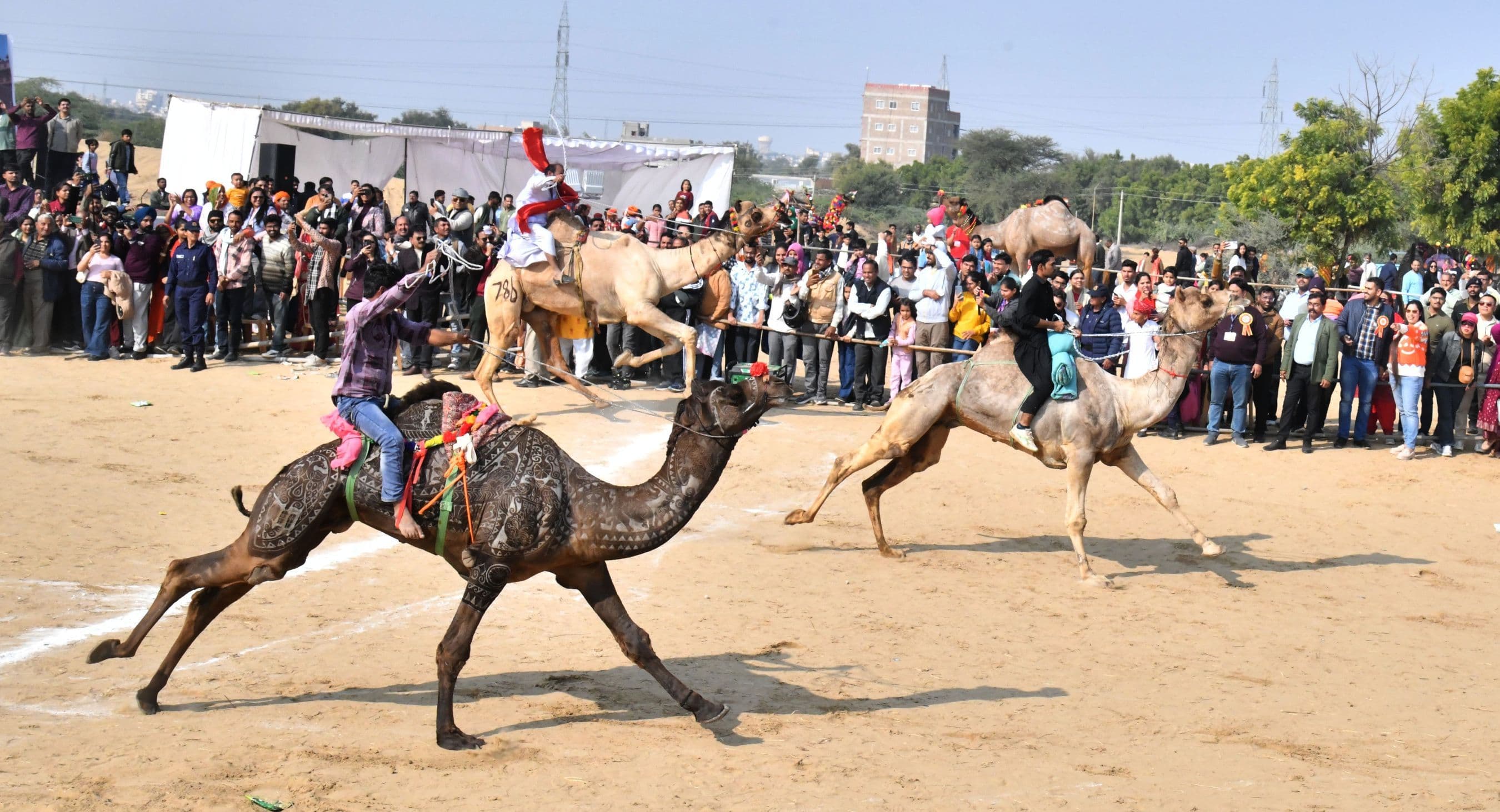 international international festival