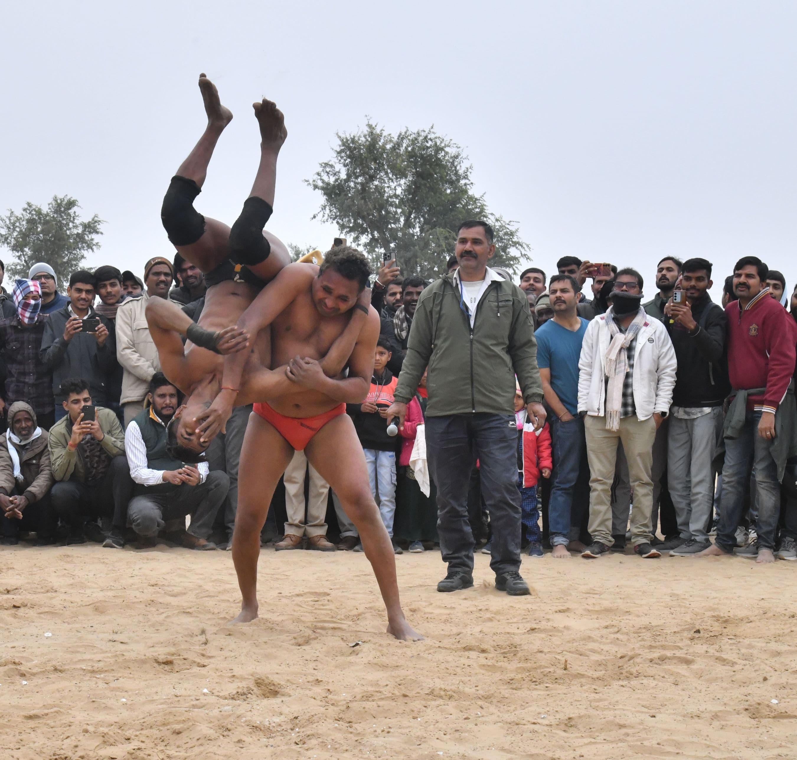 international camel festival