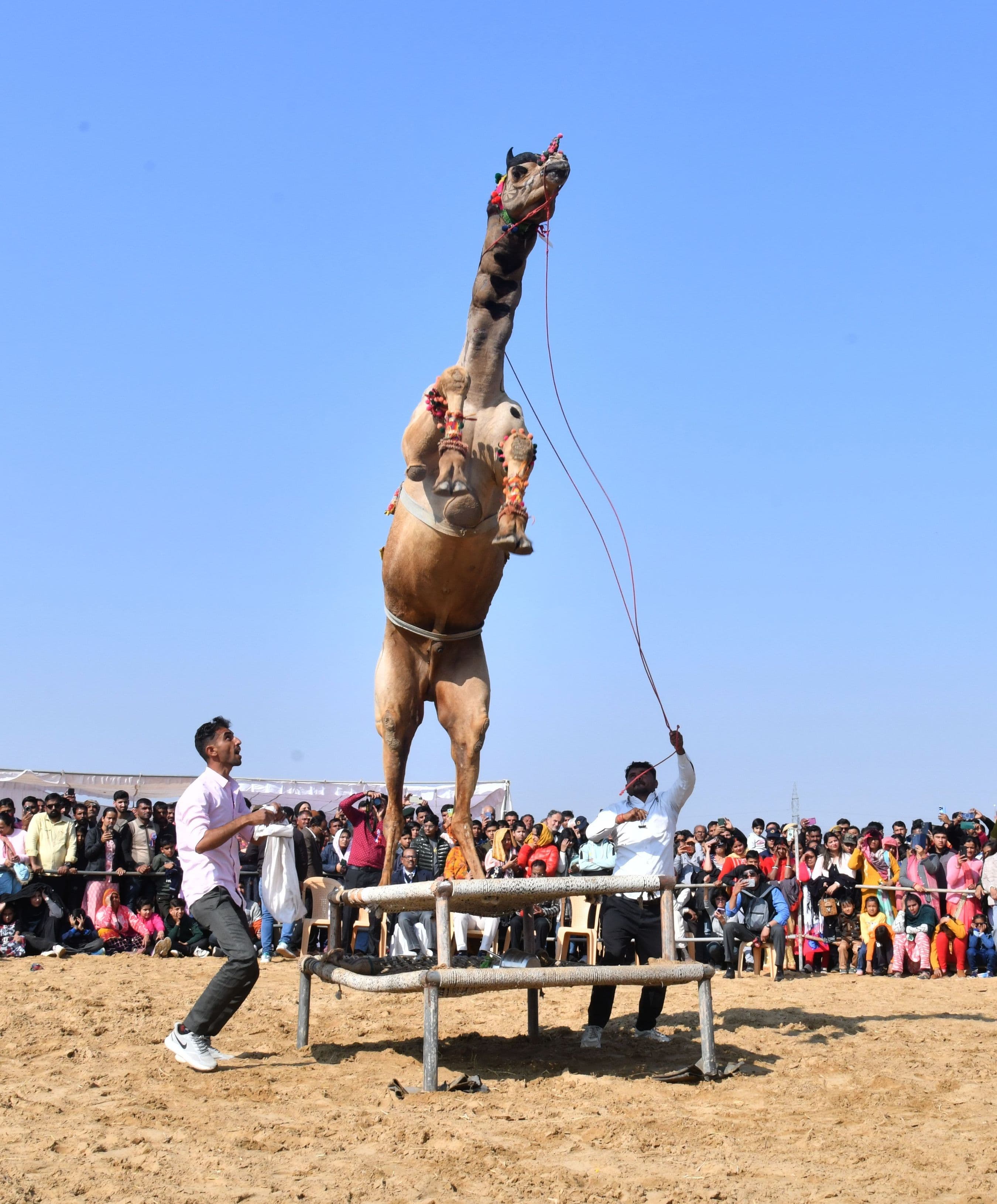 international international festival